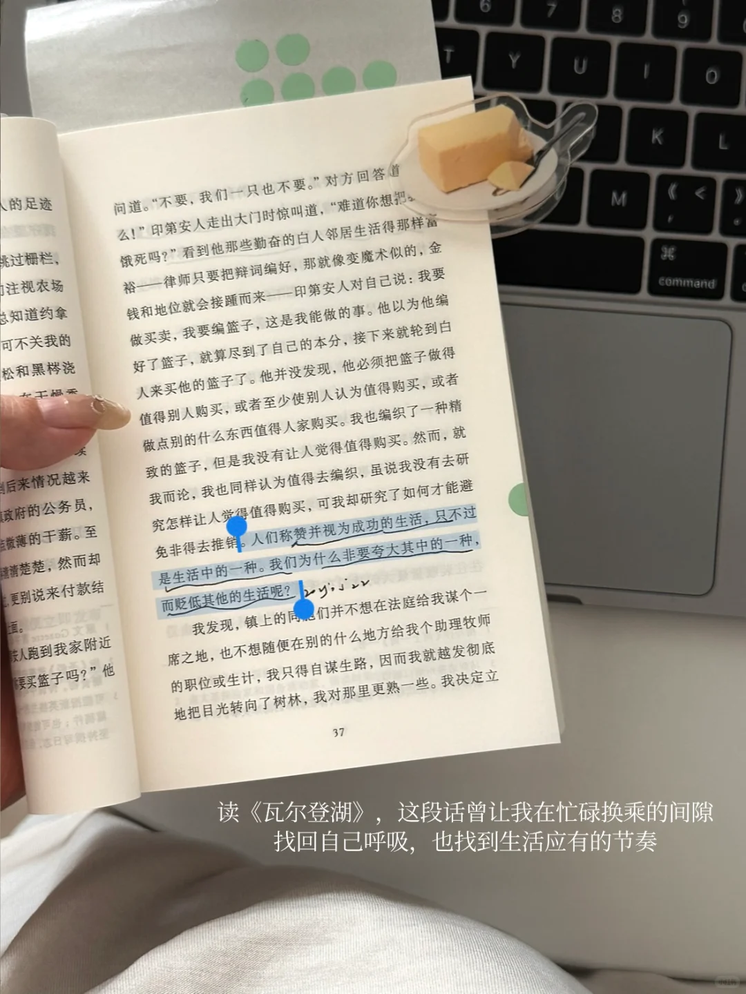 通勤时的小书，像口袋里的mini氧吧🌳