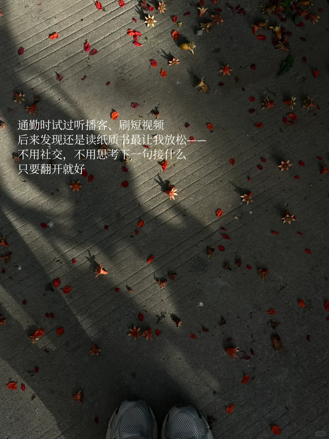 通勤时的小书，像口袋里的mini氧吧🌳