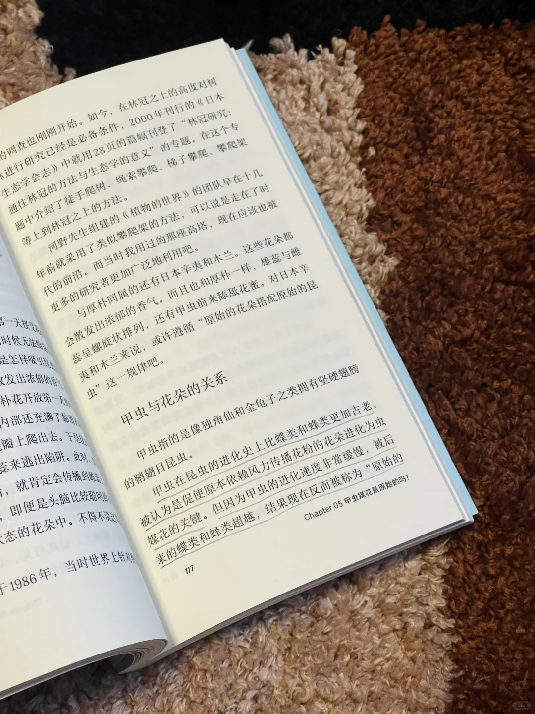 🚄出游书单 | 超适合五一带上路的文库本