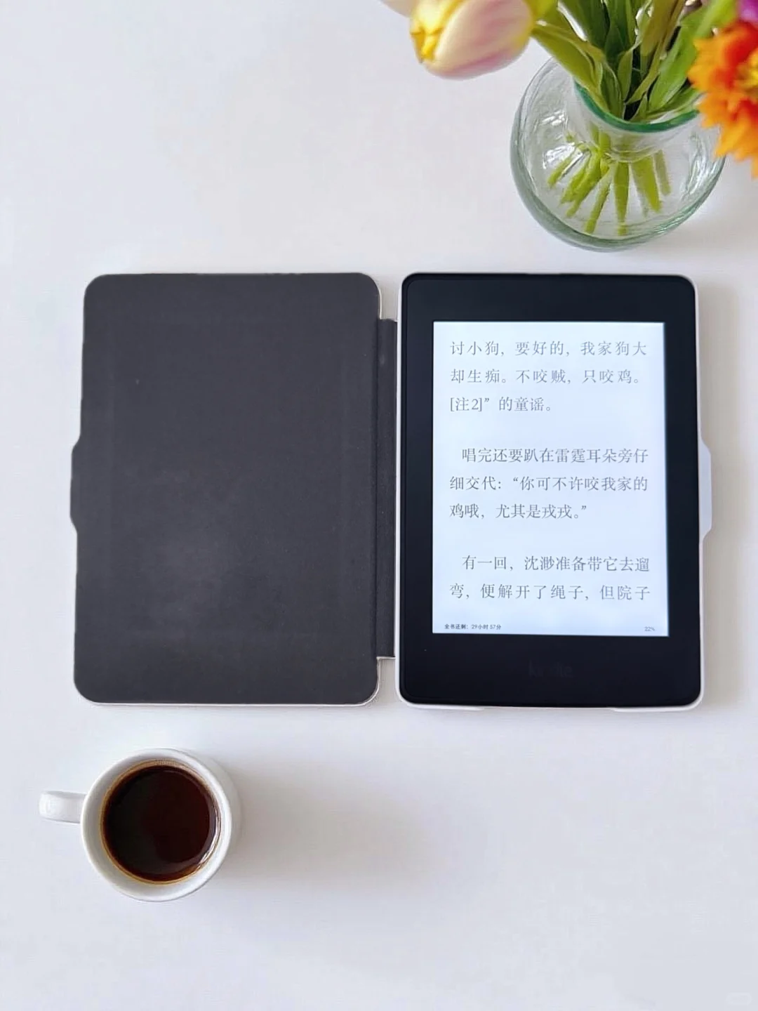 📖Kindle真的有点东西...