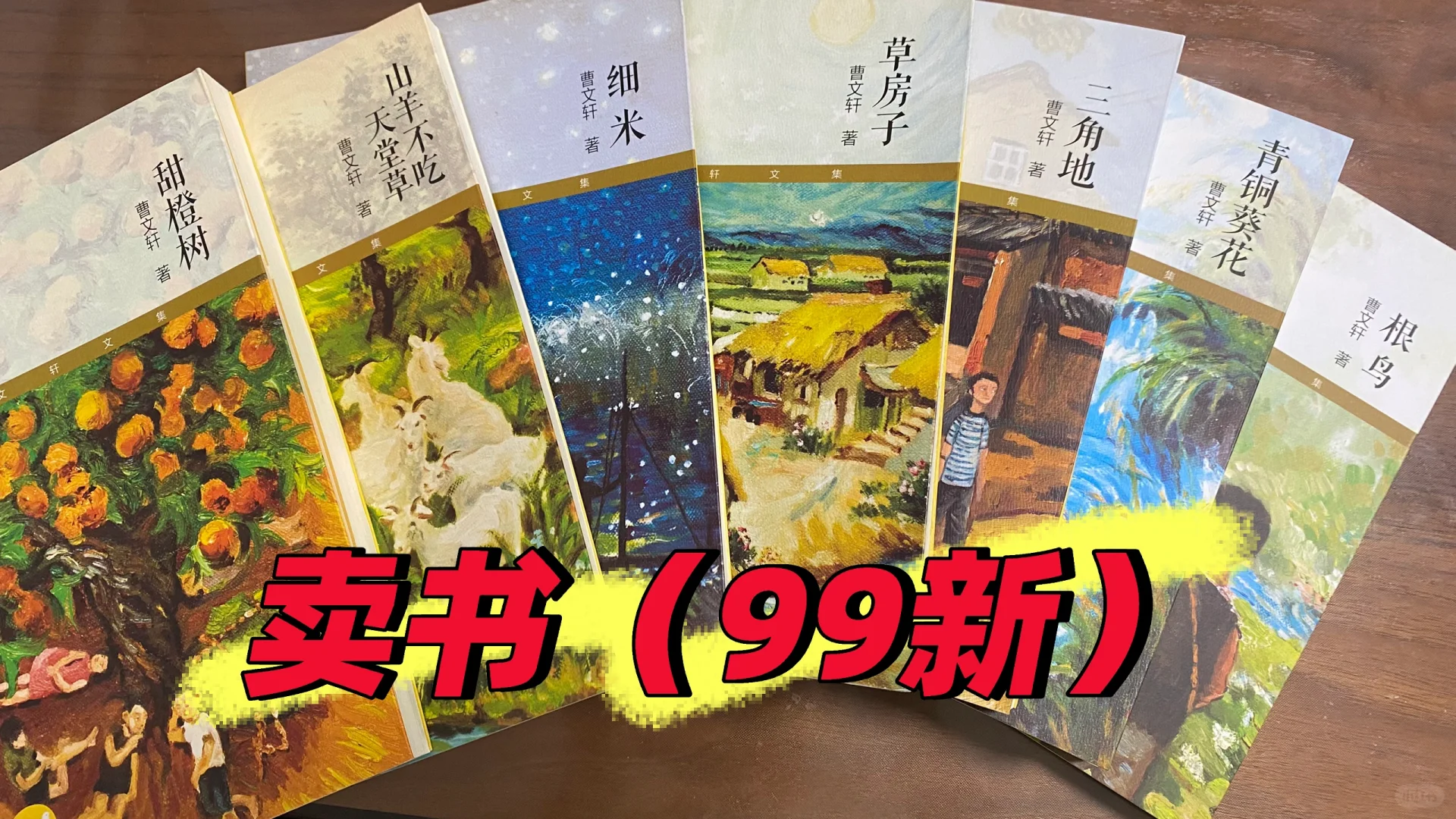 卖书（99新）