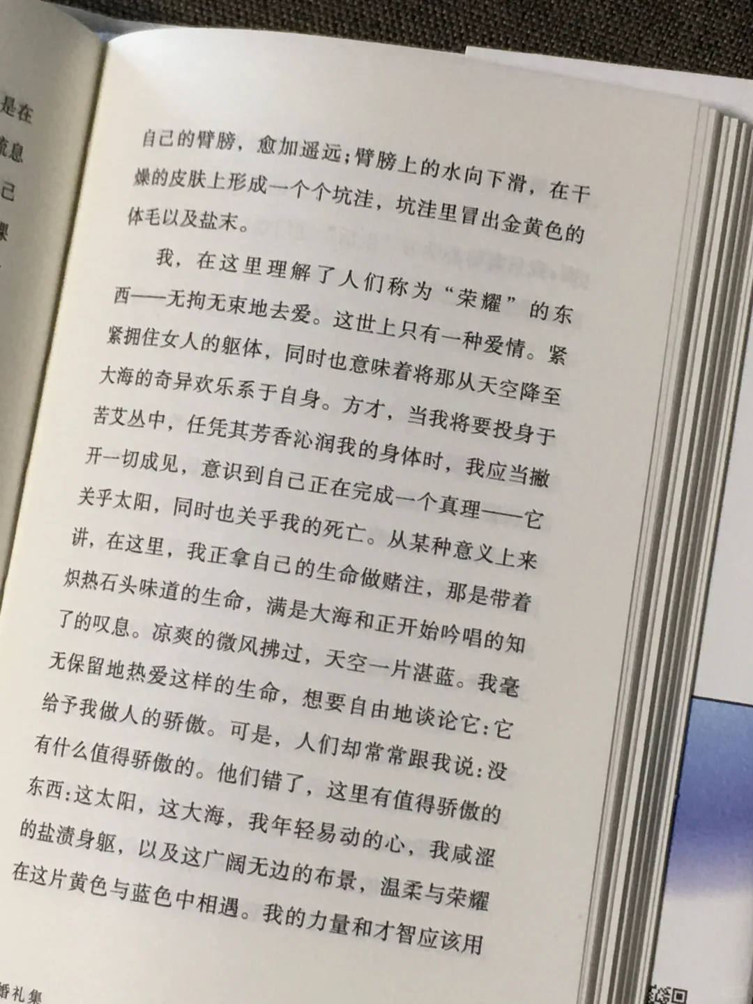 啊啊啊！终于有精装又便携的口袋书加缪了！！