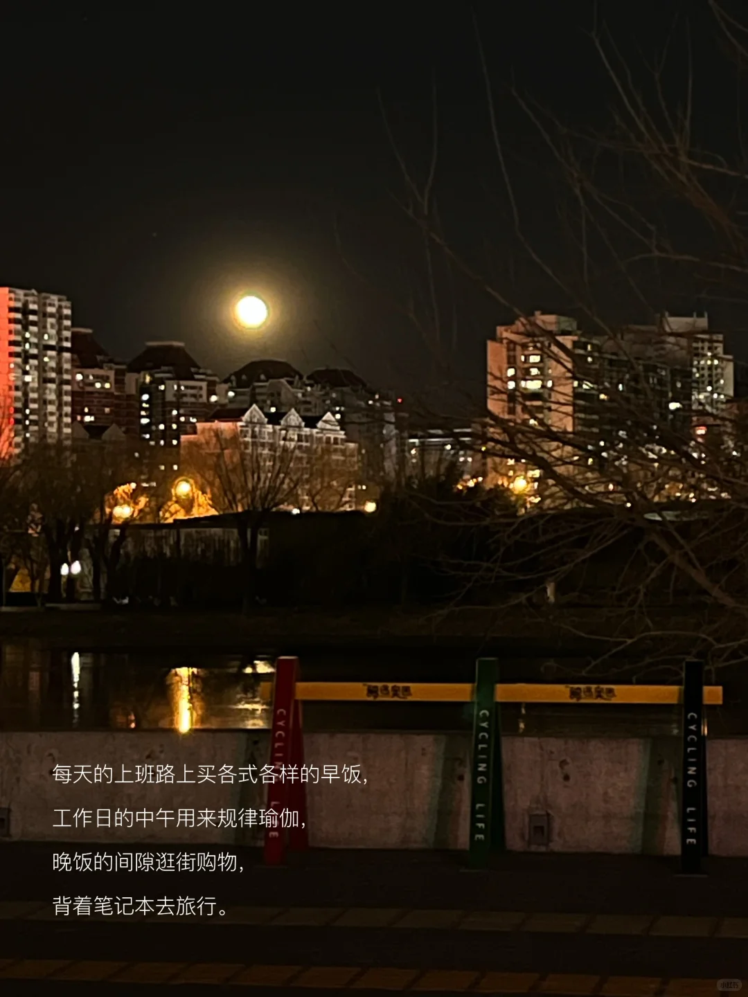 打工人的精神食粮|“我不曾违背自己过生活”