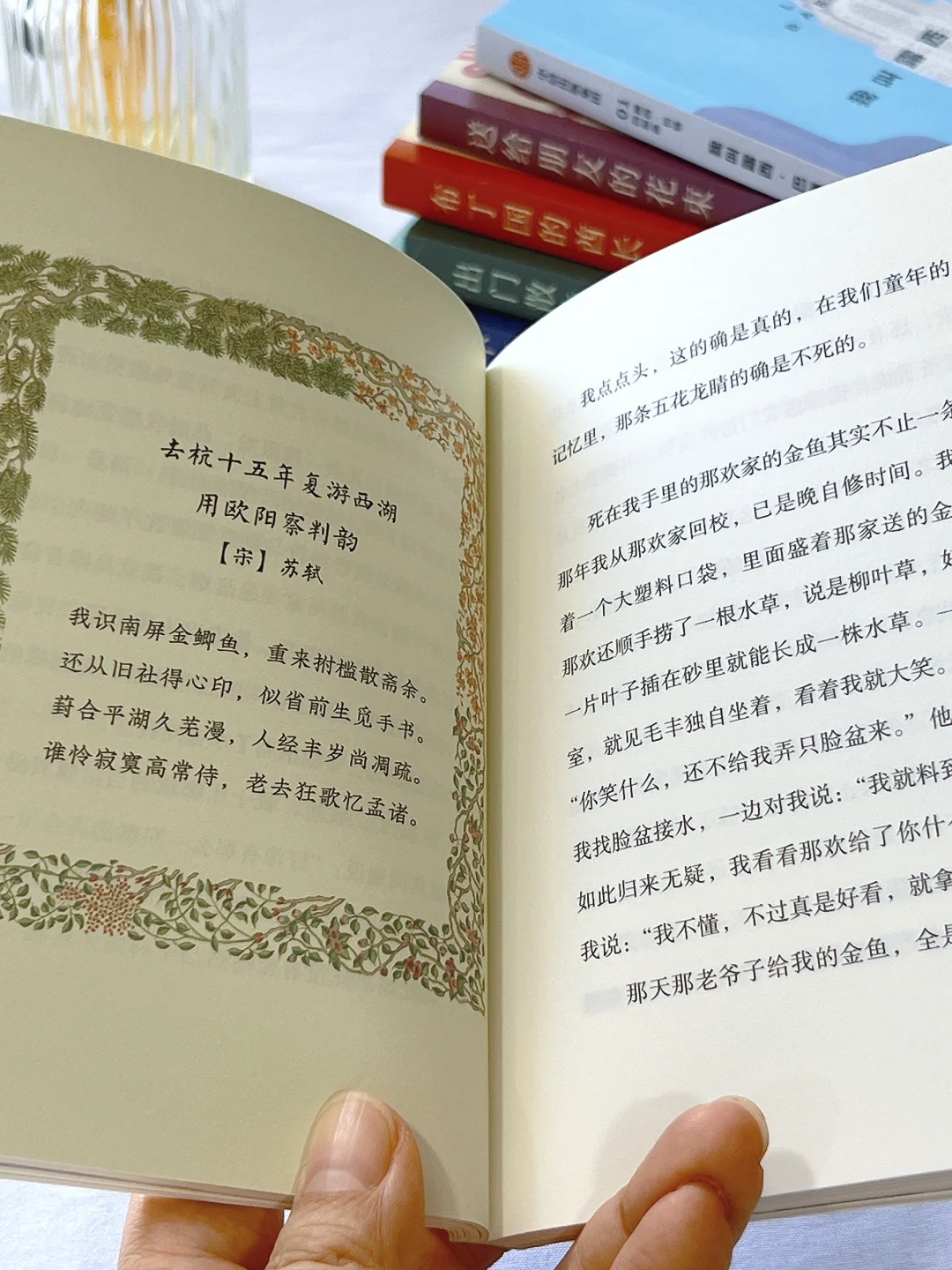 巴掌大小书系列💚i人的绝妙通勤搭子！