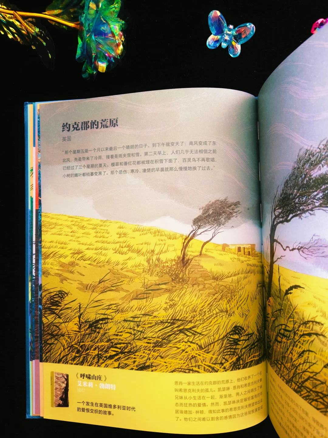 经典文学的魅力💟文学在这里诞生