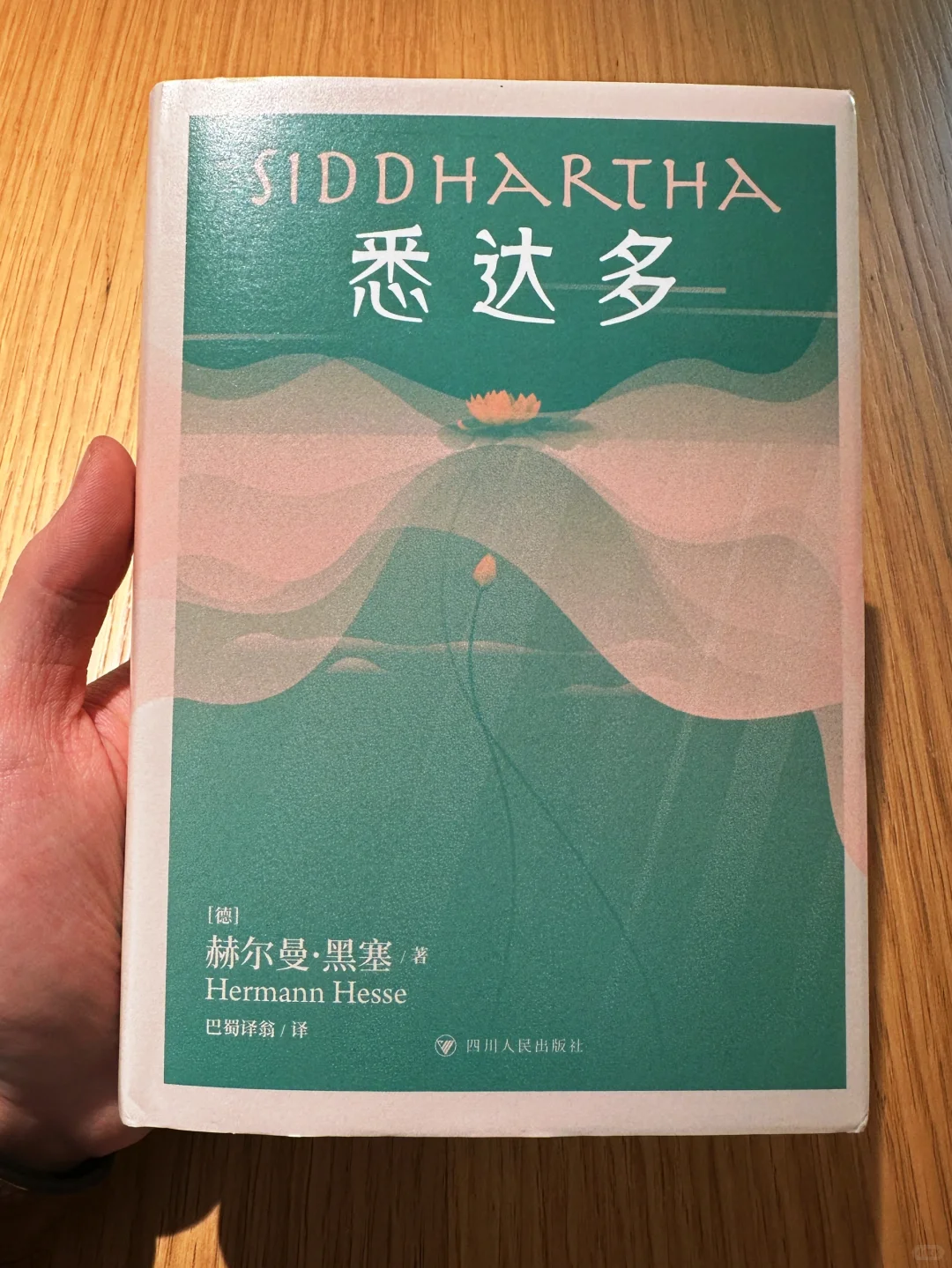 📚我的口袋书｜适合地铁通勤读的小书🚇