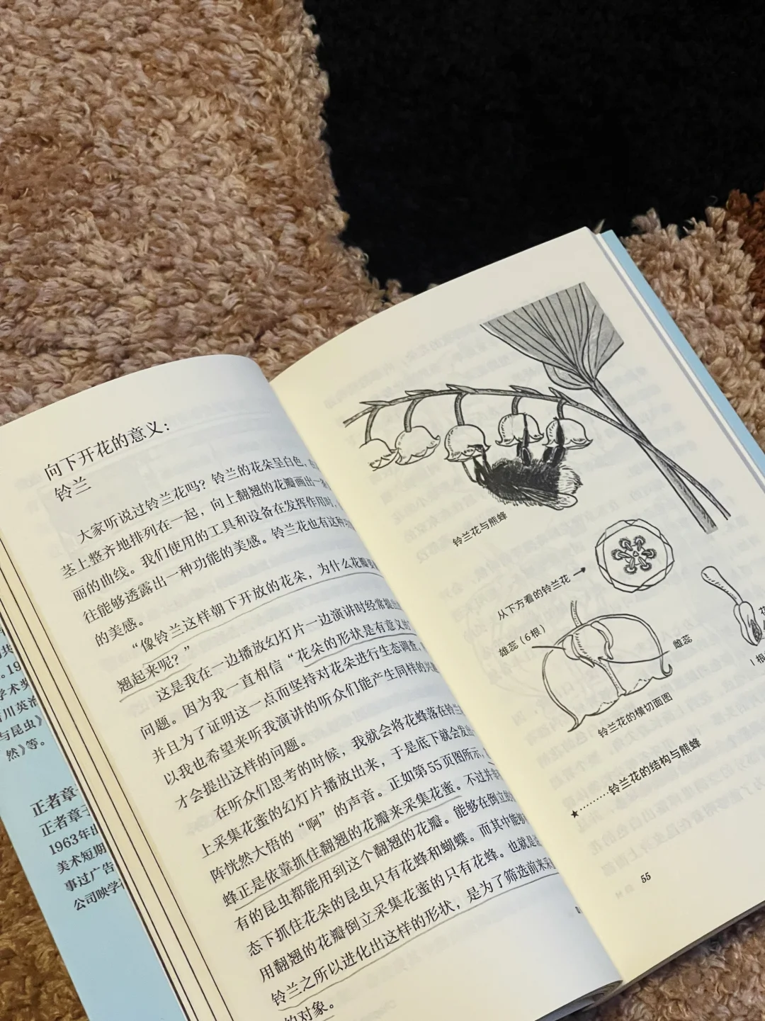 🚄出游书单 | 超适合五一带上路的文库本