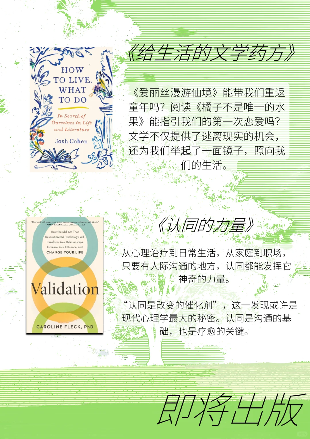 宠粉福利🎁下半年新书剧透！每本都很重磅