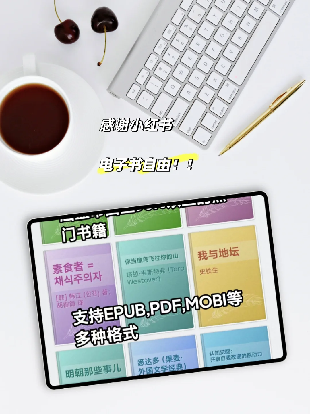 挖到宝了！电子书乌托邦