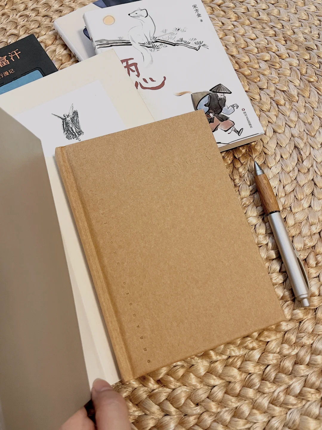 我的私藏通勤搭子📚小巧便携却无比惊艳的书