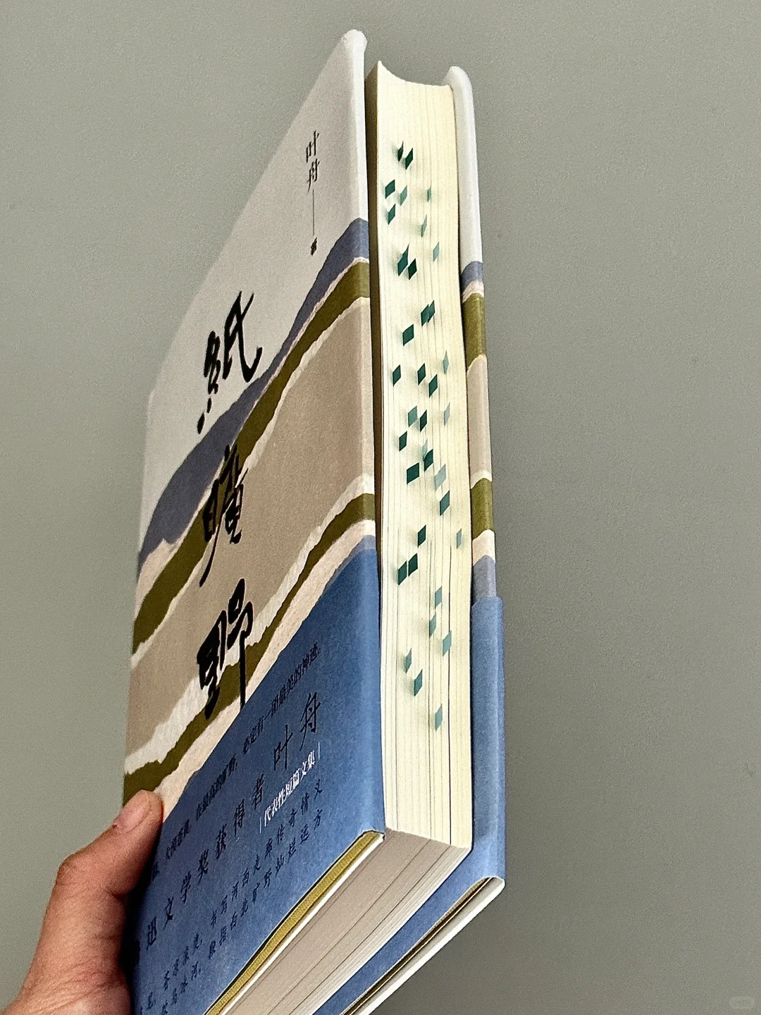 第一句就被惊艳到了！他的文笔简直吹爆！