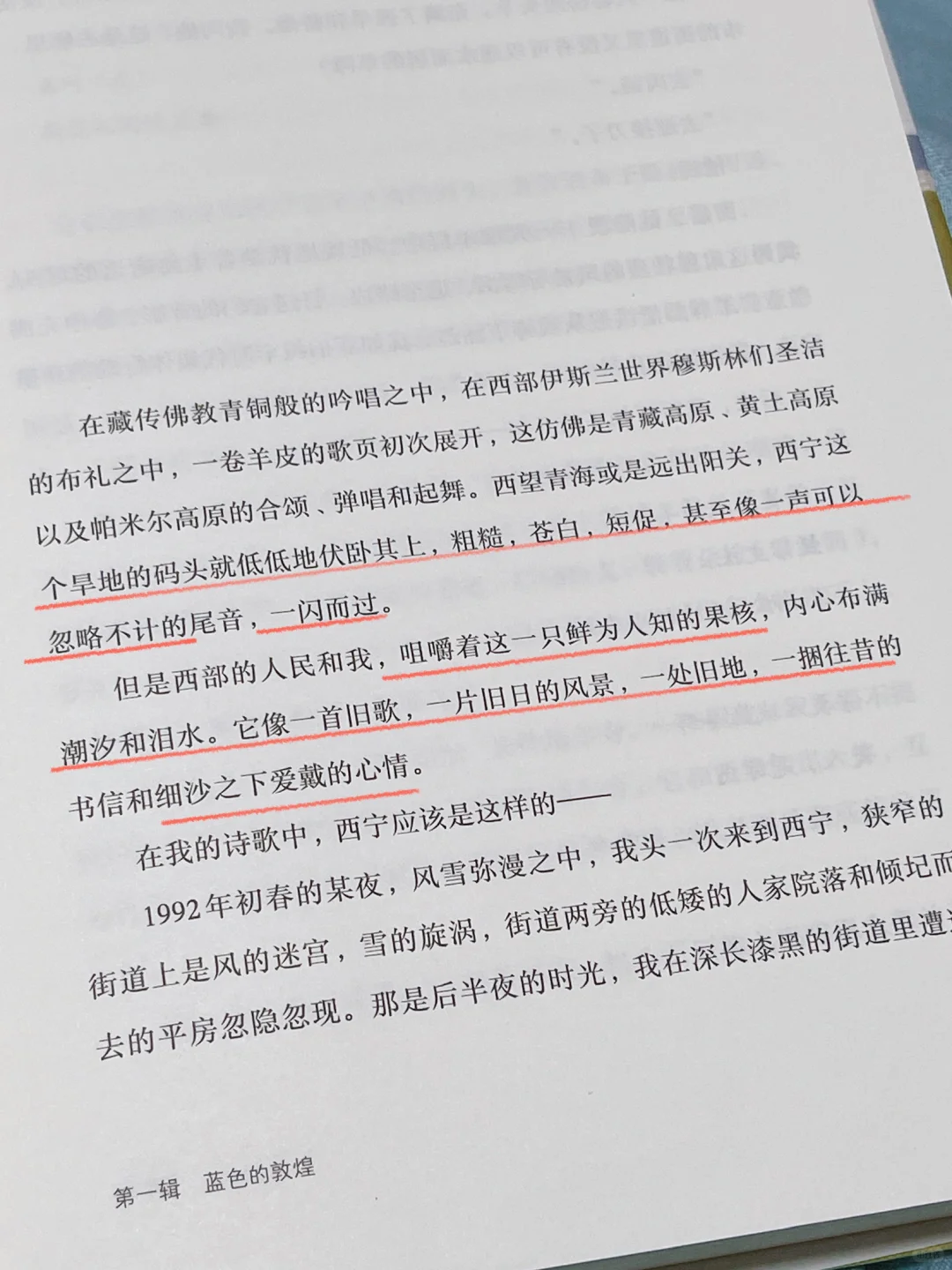 篇篇封神❕我今年读到最好的短篇文集❗️