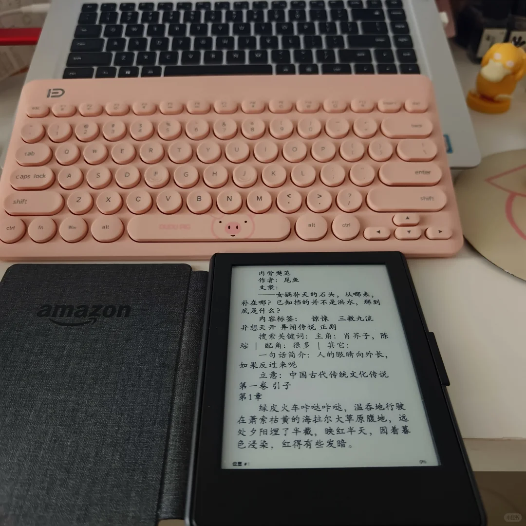用了好久的kindle