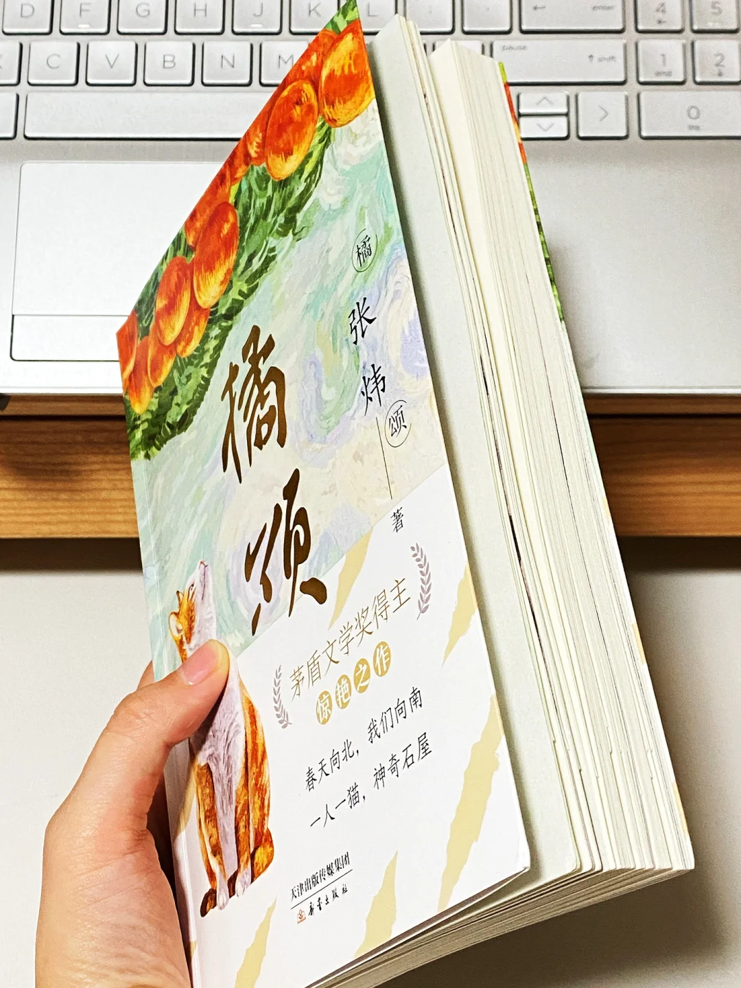 不愧是矛盾文学奖得主！好喜欢这样的文字啊