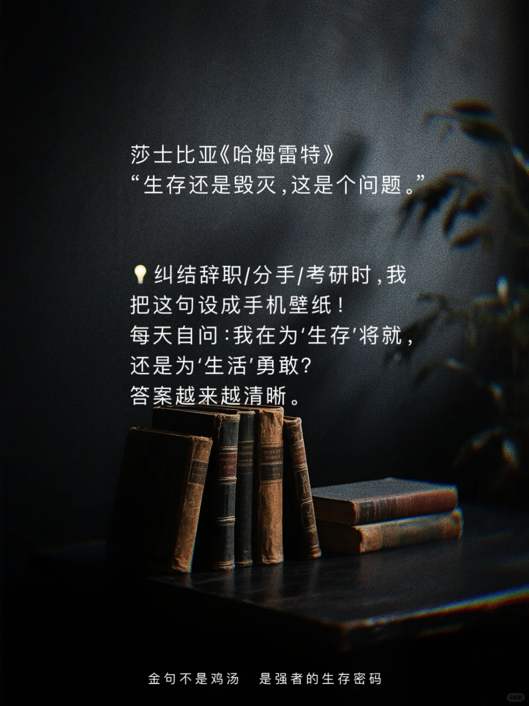 世界名著顶级文笔｜欧洲篇｜封神金句