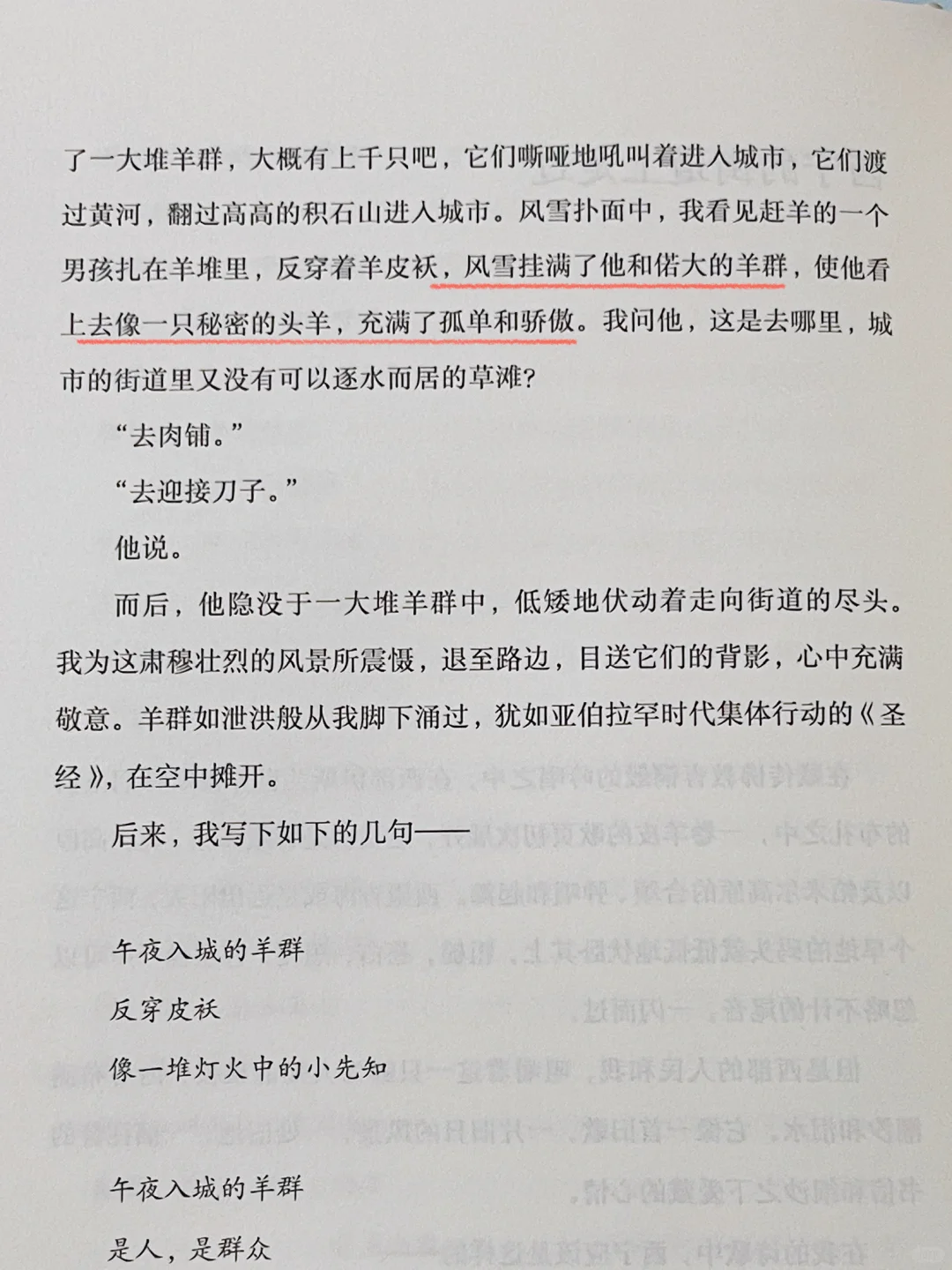 篇篇封神❕我今年读到最好的短篇文集❗️