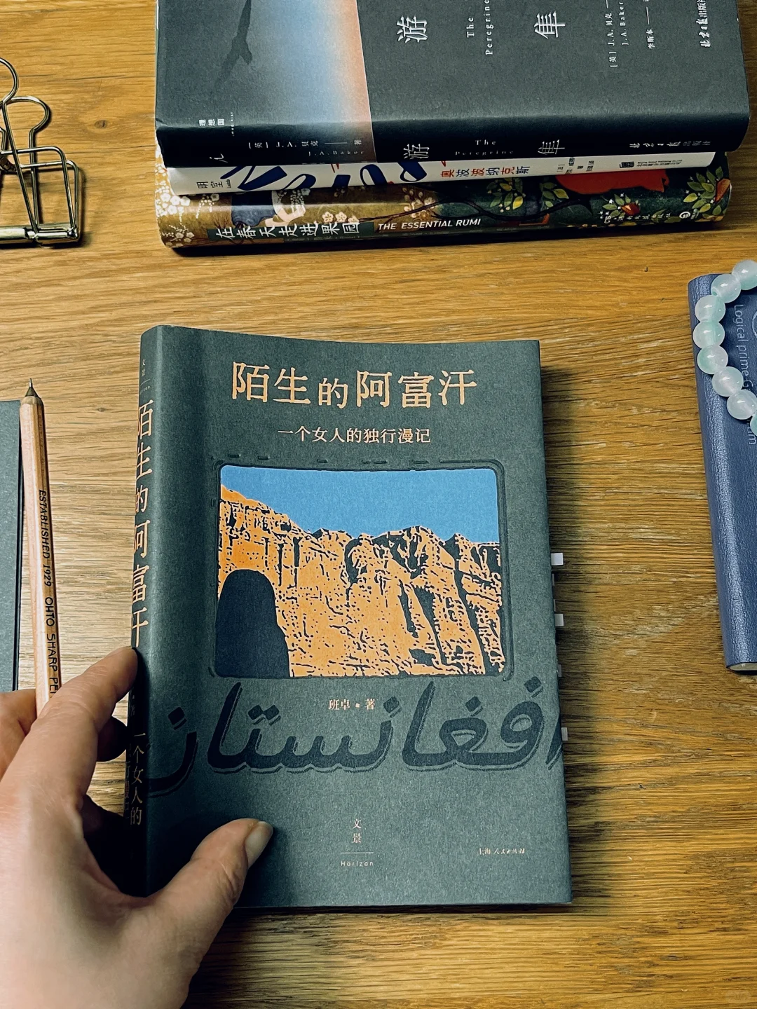 我的私藏通勤搭子📚小巧便携却无比惊艳的书