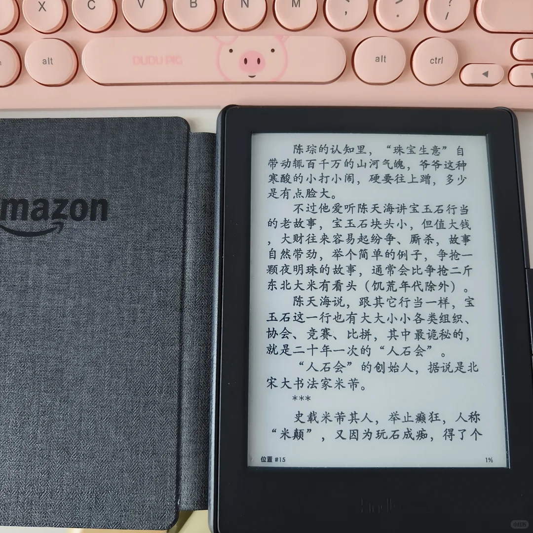 用了好久的kindle