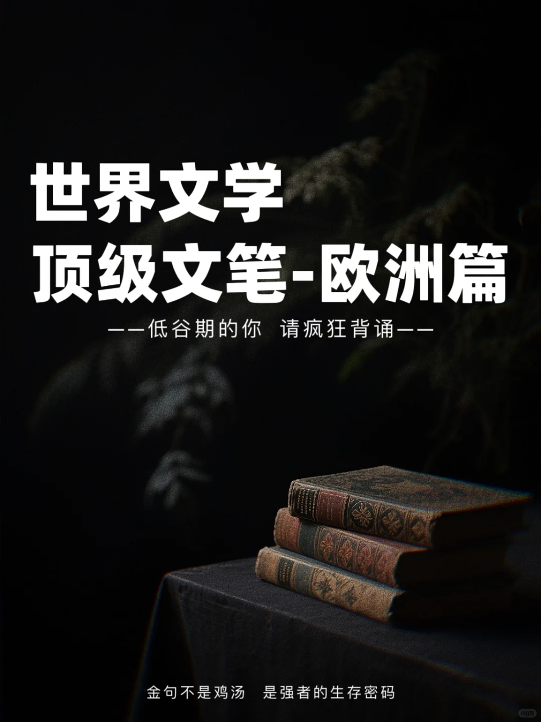 世界名著顶级文笔｜欧洲篇｜封神金句