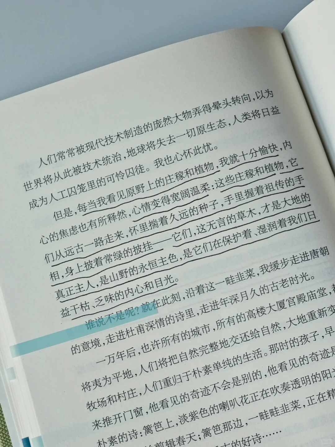 一本好冷门的植物散文🌿文字好美好灵动啊