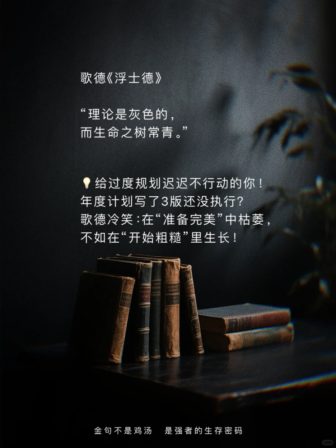世界名著顶级文笔｜欧洲篇｜封神金句