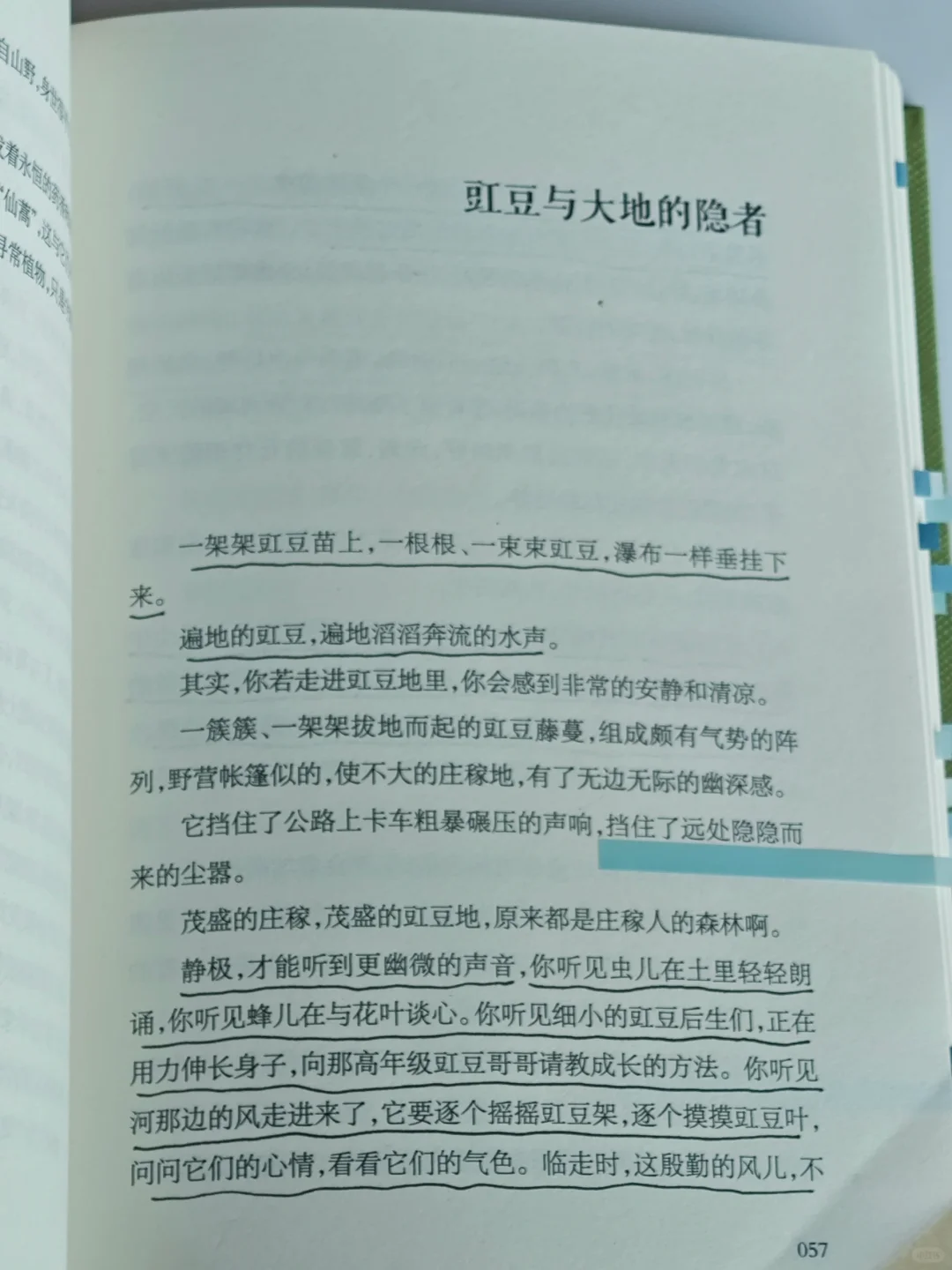 一本好冷门的植物散文🌿文字好美好灵动啊