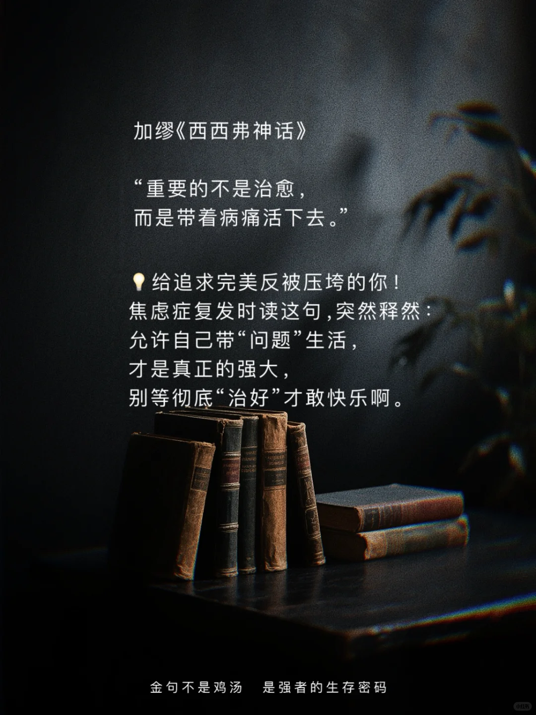 世界名著顶级文笔｜欧洲篇｜封神金句