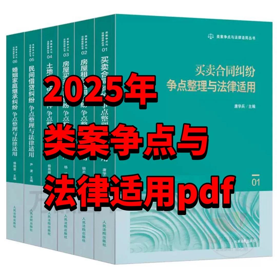 2025类案争点与法律适用pdf