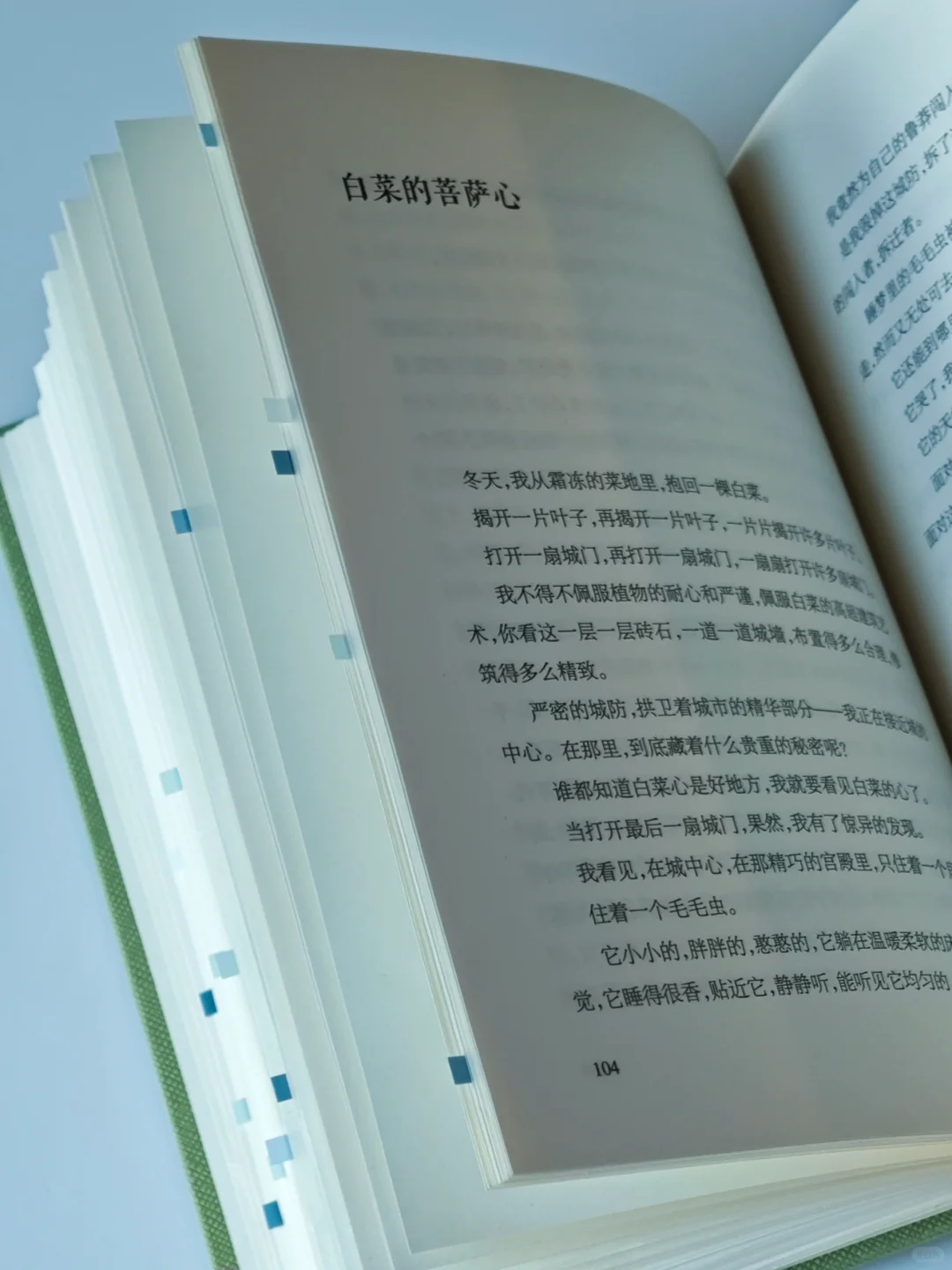 一本好冷门的植物散文🌿文字好美好灵动啊