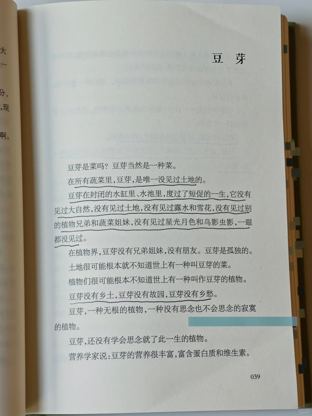 一本好冷门的植物散文🌿文字好美好灵动啊