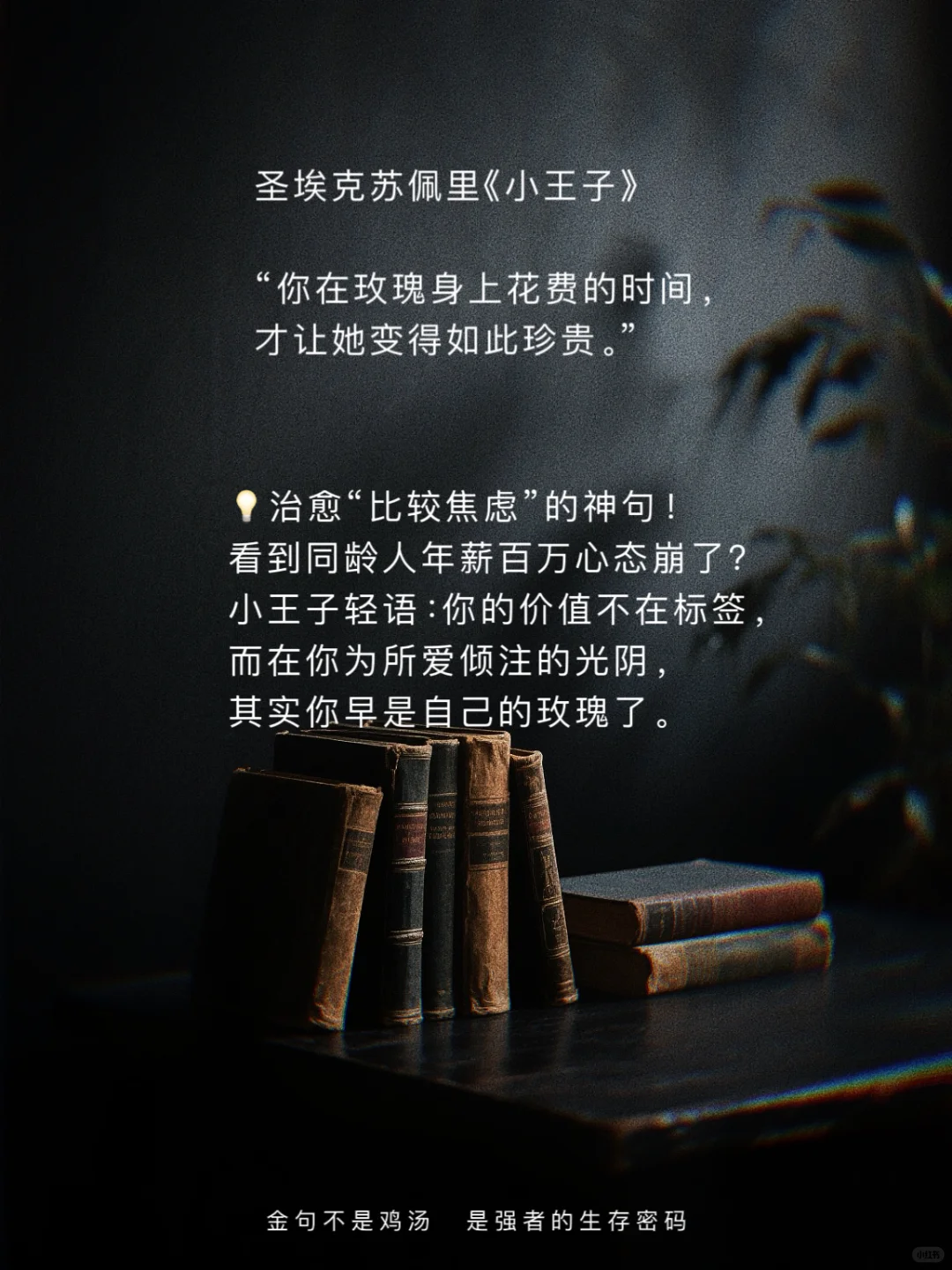 世界名著顶级文笔｜欧洲篇｜封神金句