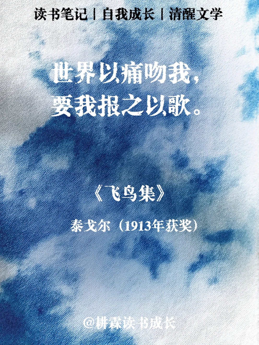 诺贝尔文学奖无敌震撼的顶级文笔
