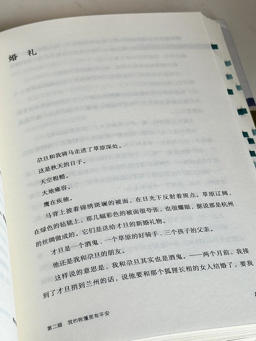 第一句就被惊艳到了！他的文笔简直吹爆！