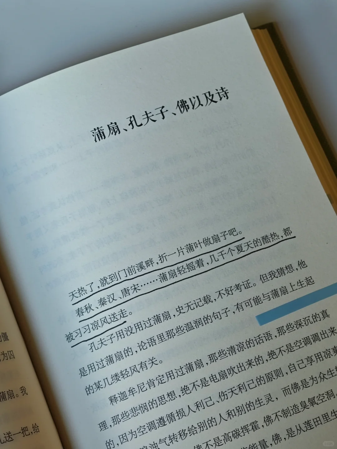 一本好冷门的植物散文🌿文字好美好灵动啊