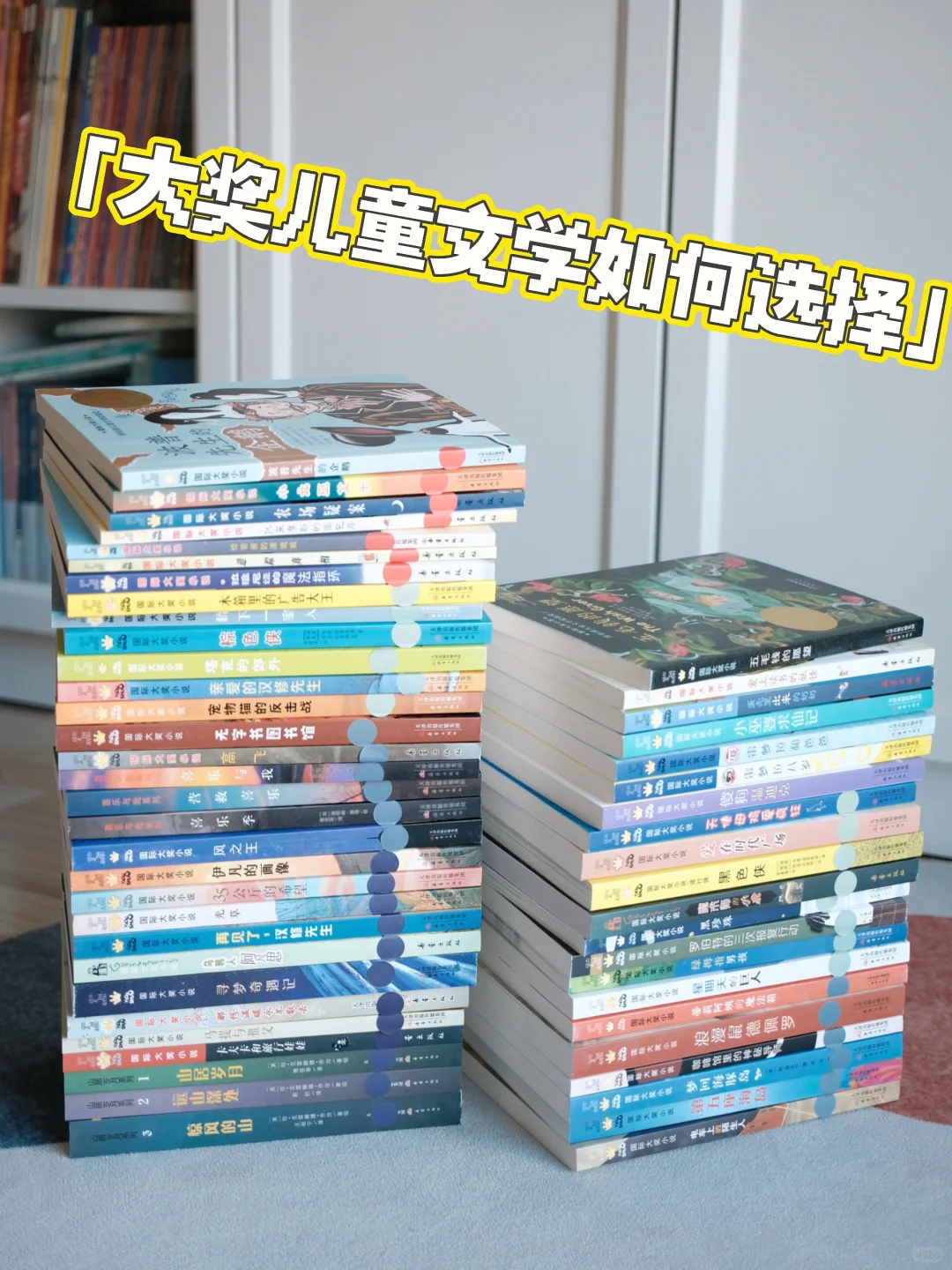 大奖小说这么选 小学生高质量文学书单