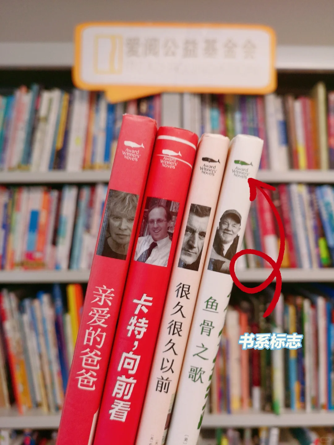 家一定有，但却被你忽视的儿童文学书系们！