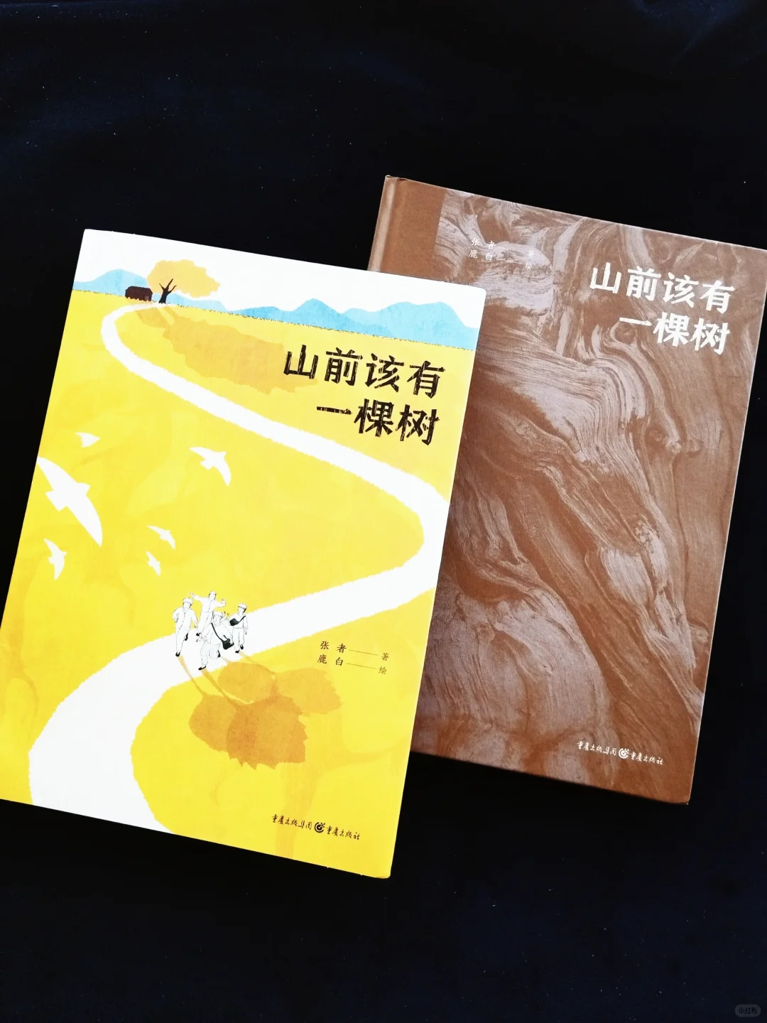 鲁迅文学奖短篇小说《山前该有一颗树》