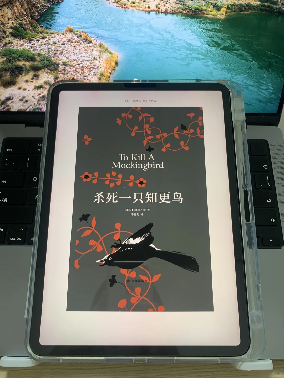 免费看书攻略🔥再也不用到处找资源了……