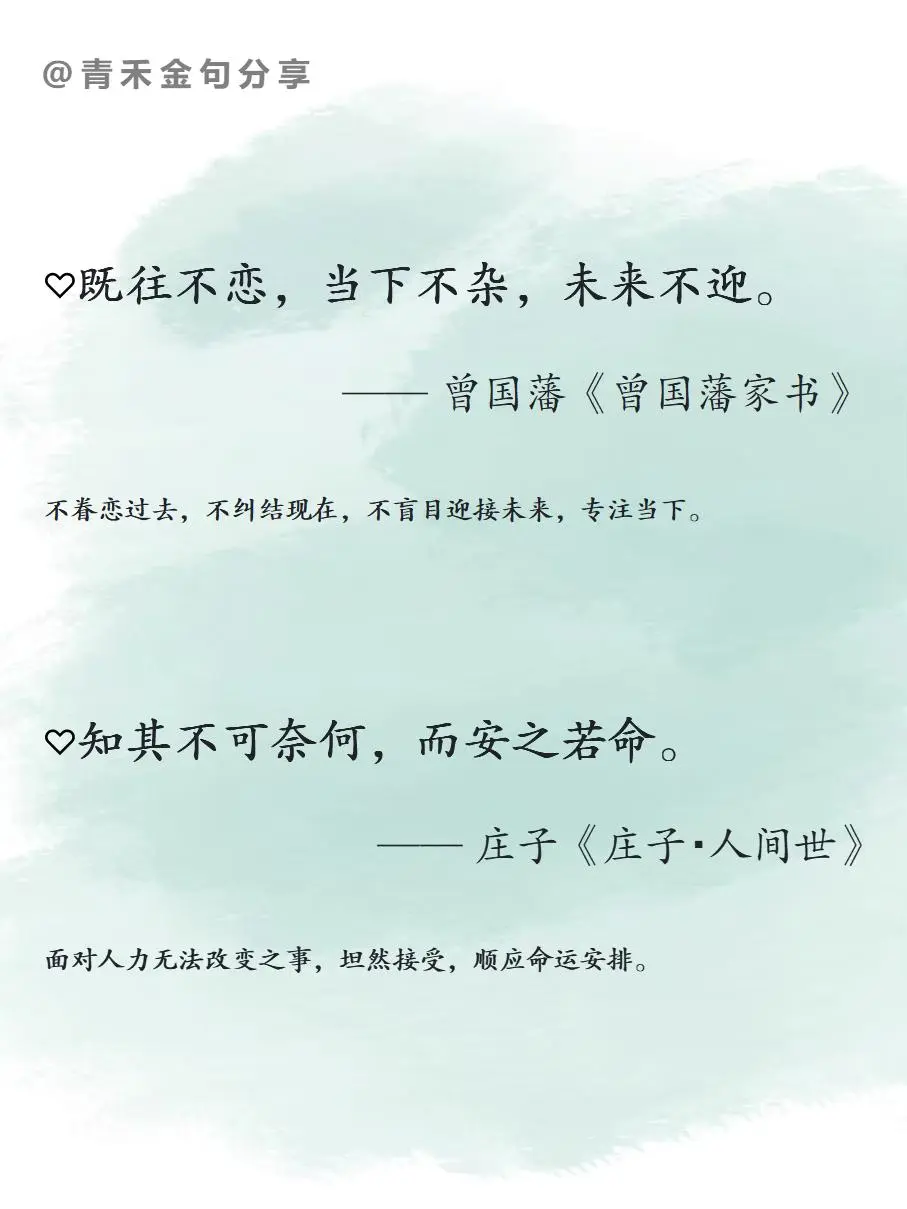 你读过通透释怀的一则金句是？