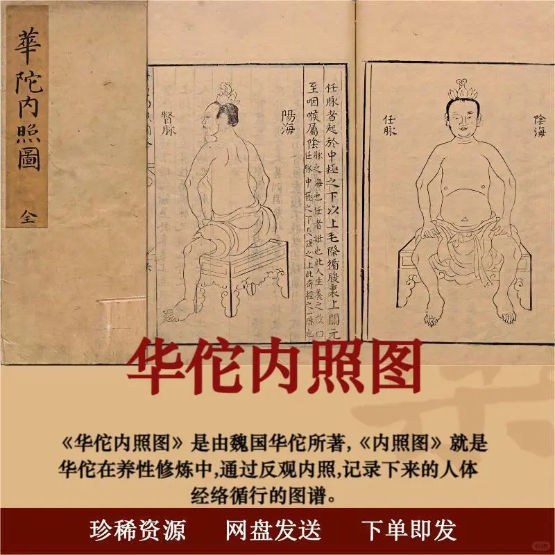 中医养生必备！《华佗内照图》PDF电子书