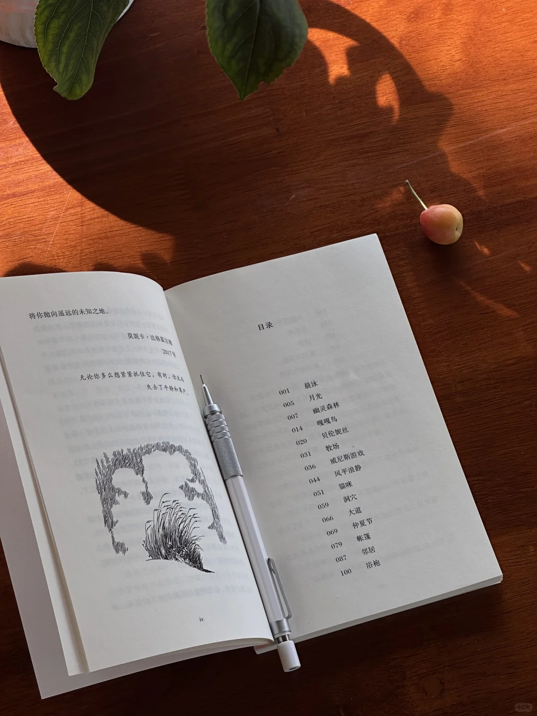如果可以永恒，那就是夏天吧。