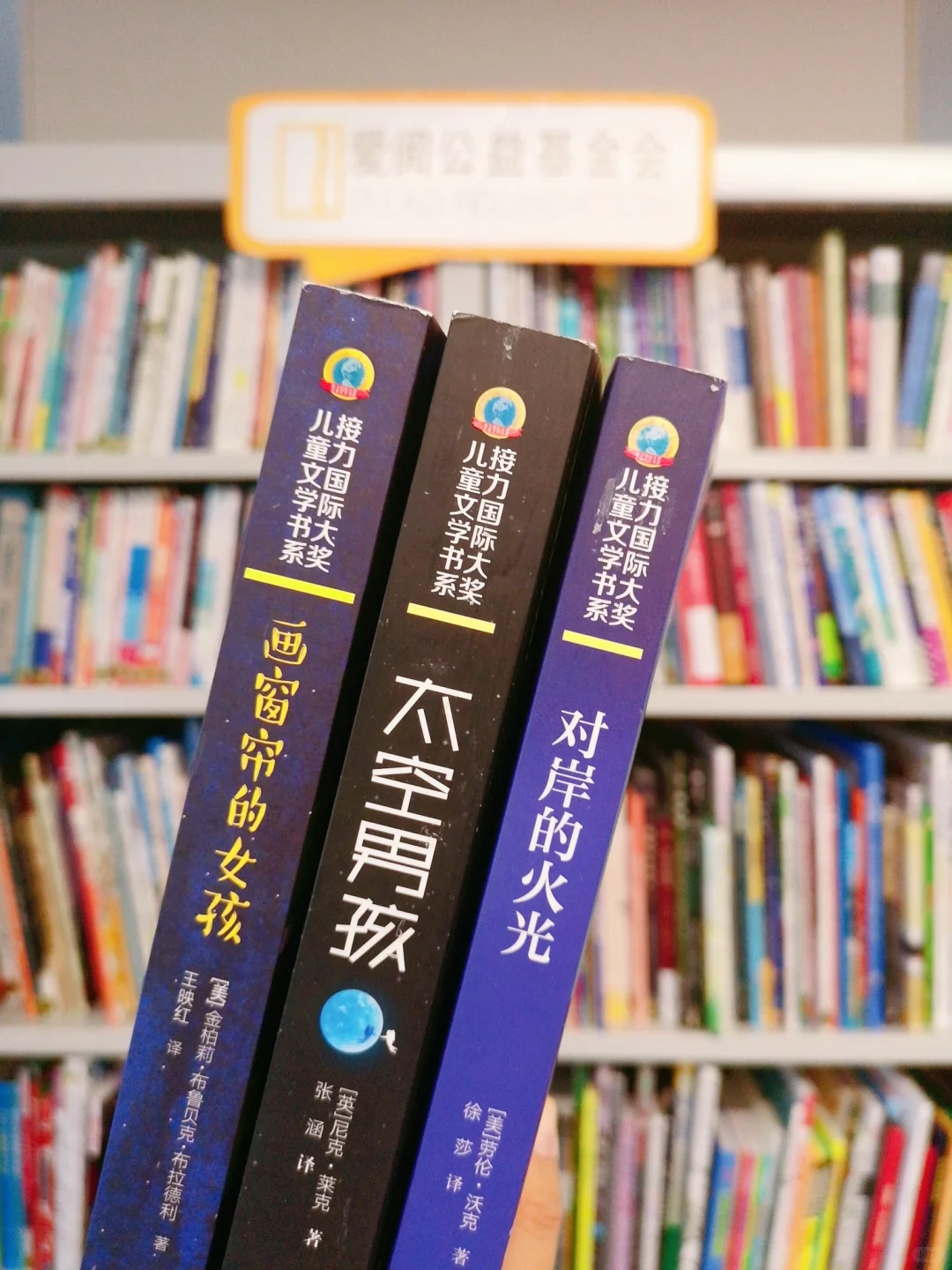 家一定有，但却被你忽视的儿童文学书系们！