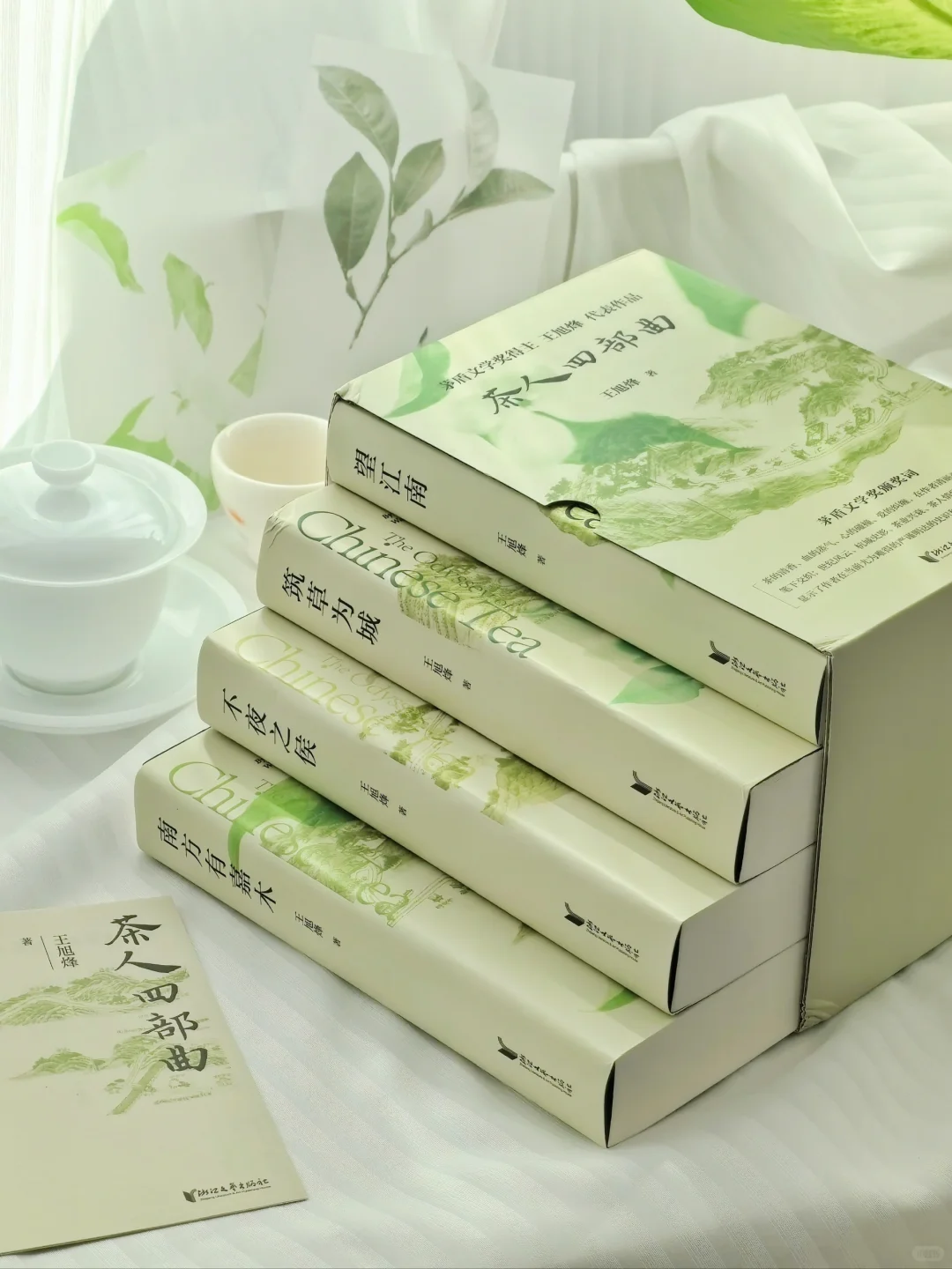 全程震撼着读完！这套小说后劲真的太强了！