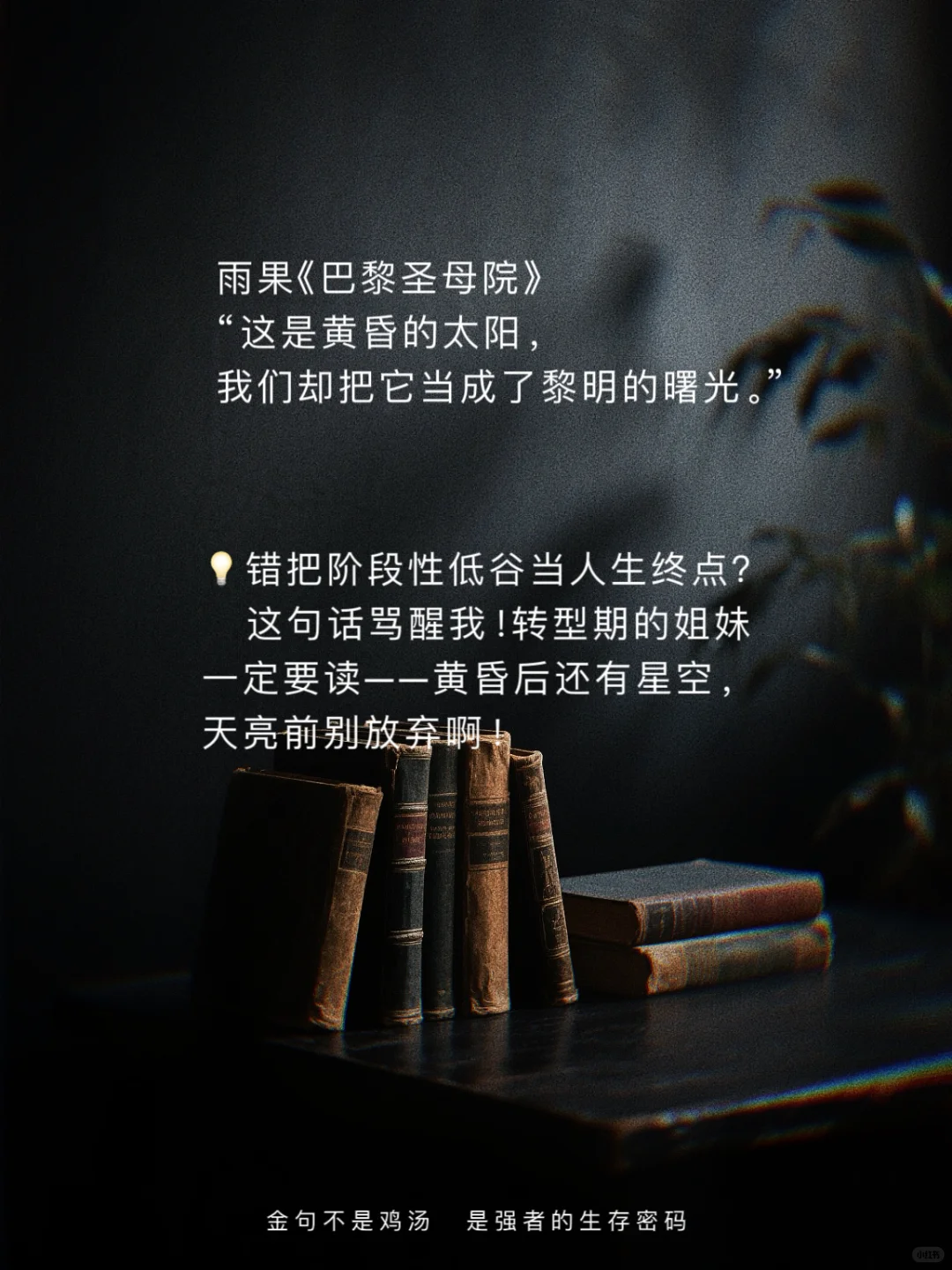 世界名著顶级文笔｜欧洲篇｜封神金句