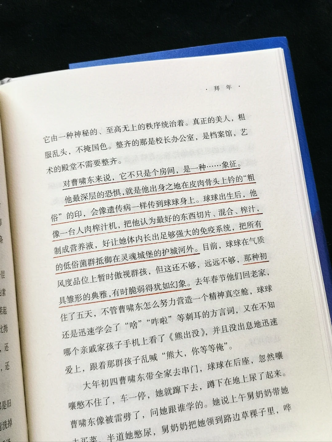 国内女作家书写女性，有种浓烈却荒诞的真实