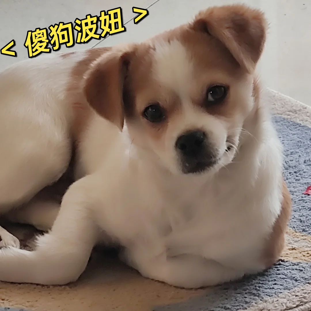 盘点2023年度最受欢迎的儿童文学作品TOP20