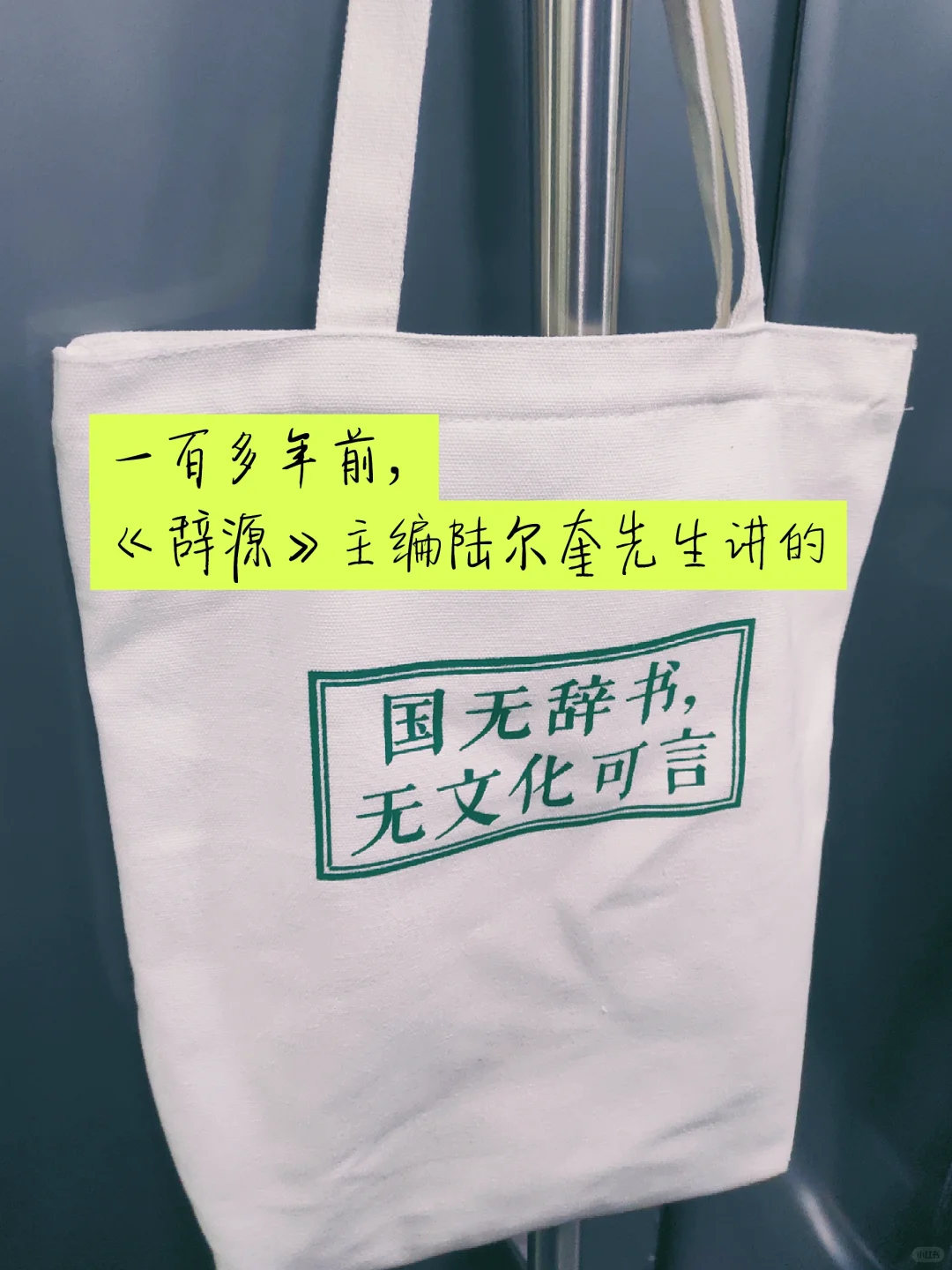 北京地铁读书人：帆布袋精神保护区