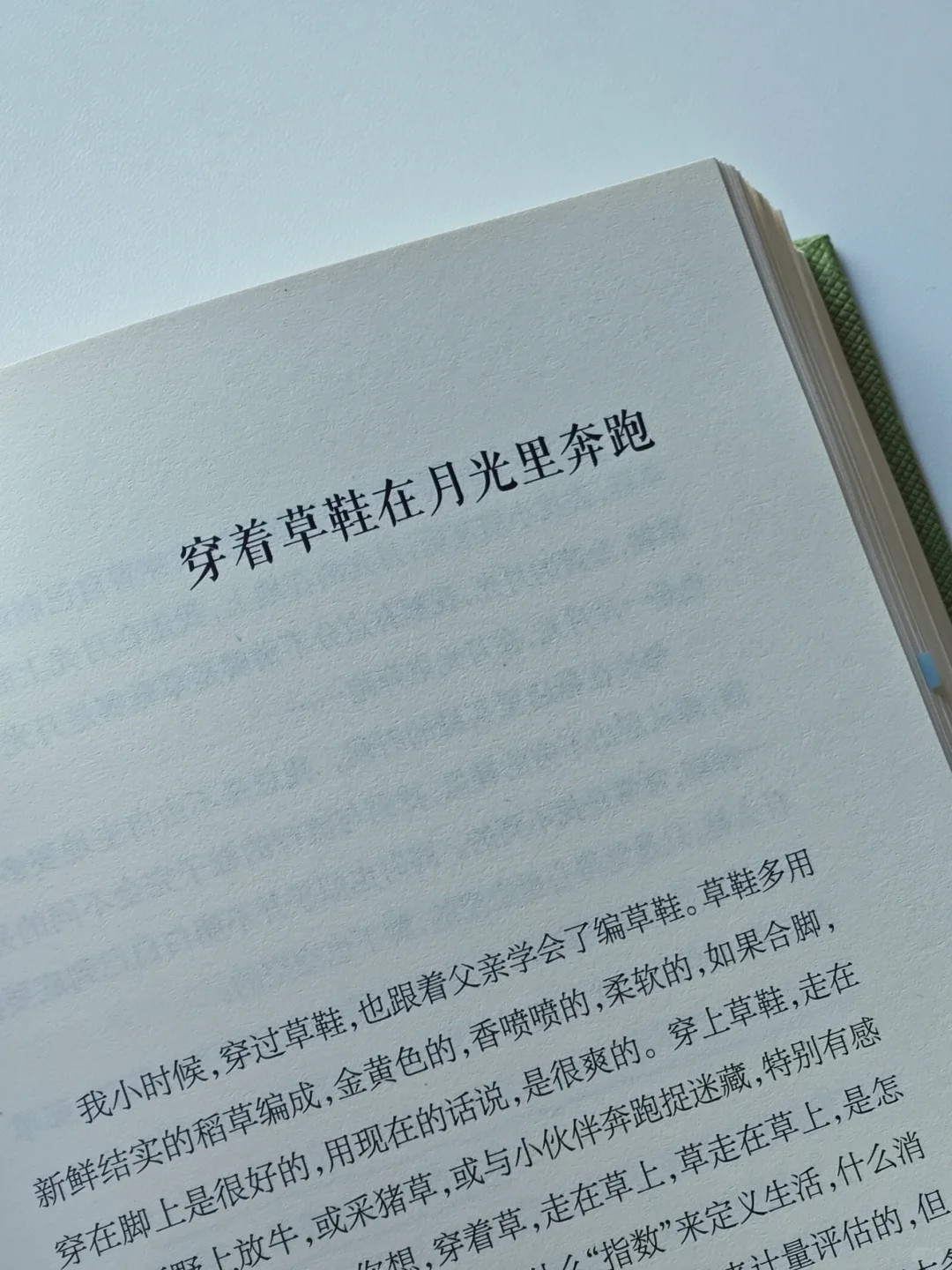 一本好冷门的植物散文🌿文字好美好灵动啊