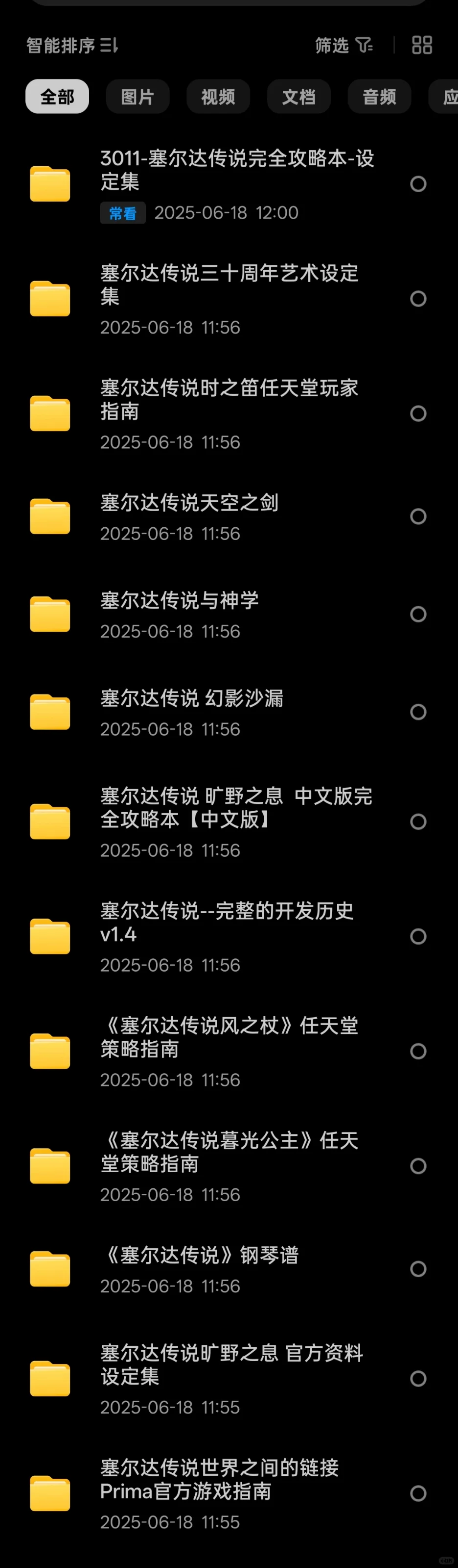 纯英塞尔达传说:阅读电子书书籍