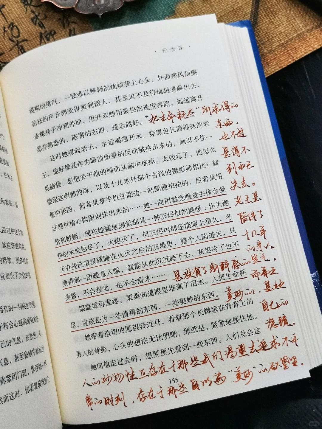 国内女作家书写女性，有种浓烈却荒诞的真实